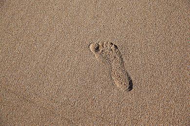 恐龙主题恐怖游戏《Deathground》下周进入抢先体验